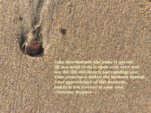 Sandshell2quote