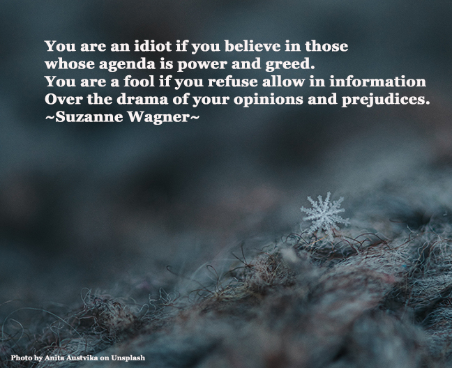 Suzanne Wagner Quote – Idiots And Fools | Suzanne Wagner